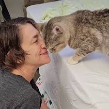 Carson Cats Rescue дадалі новае фота.