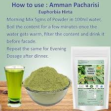 Image result for Euphorbia hirta