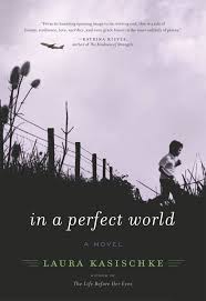 In a Perfect World eBook by Laura Kasischke - EPUB Book | Rakuten Kobo  9780061941825