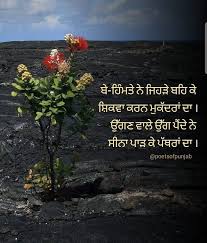 Pin By Harwinder Singh On Preet Love Quotes Funny Sufi Quotes Knowledge Quotes