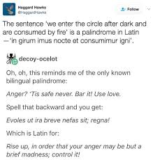Pin By Bridie Newman On Misc Quotes Words Latin Phrases