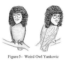 Weird Owl Yankovic Filthy Animal Make Me Laugh Geek Stuff