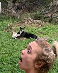 Danny Camp (@dannycampmusic) · Instagram 照片和视频