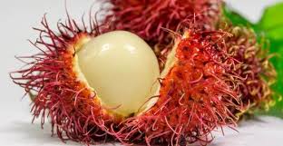 However, this kind of fruit is not easy to store. Rambutan Fruit Proven Benefits How To Eat Rambutan And More