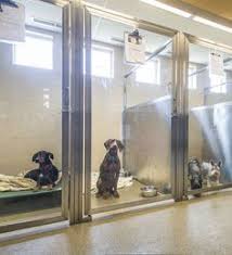 Animal hospital fort walton beach. 33 Clinic Design Ideas Clinic Design Hospital Design Pet Clinic