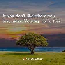 You are not a tree condemned to a small plot while the wind and world abuses you. If You Don T Like Where You Are Move You Are Not A Tree
