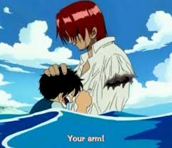 It's only logical, he is a cheerful guy with the most badass crew and he even saved our beloved luffy from the seakings, sacrificing his own arm in the process. Cyberd Org One Piece 4