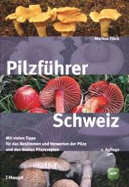 Pilzvergleiche Satanspilz Und Hexenrohrlinge Awl Ch