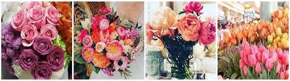 See 9,442 tripadvisor traveler reviews of 299 pueblo restaurants and search by cuisine, price, location, and more. The 8 Best Options For Flower Delivery In Pueblo Colorado 2021
