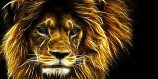 You enjoy the natural and hd environment equally? Power Animals Totem Animals Animal Archetypes Oh My Lion Hd Wallpaper Animal Wallpaper Animal Posters