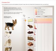 dog chocolate toxicity chart national geographic dog