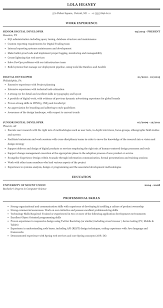 digital developer resume sample