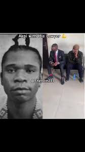 Akpi and His Lawyer: Insights