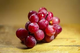 Can Cats Eat Grapes And Raisins No Calorie Snacks Kombucha Recipe Ginger Kombucha Recipe