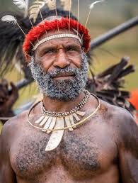 Why do only some Asians have leg hair?