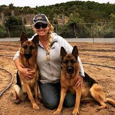 There was an error loading the page; German Shepherd Puppies For Sale Home Facebook