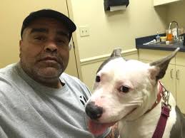 Proheart and dog allergies: consult your vet first