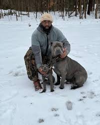 Tabias Jackson (@bi_southernfrenchies) • Instagram photos and videos