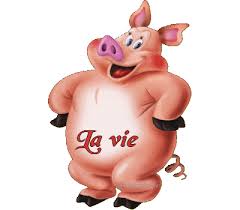 gifs content heureux - Page 2