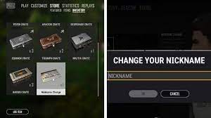 How To Change Name In Pubg Pc And Mobile A Quick Guide Guides News