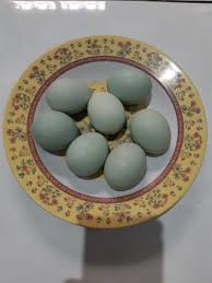 4.245 resep telur bebek ala rumahan yang mudah dan enak dari komunitas memasak terbesar dunia! Telur Asin Belum Tentu Telur Bebek