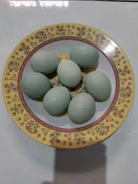 Check spelling or type a new query. Telur Asin Belum Tentu Telur Bebek