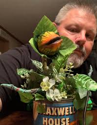 Audrey 2 plant DIY tutorial with Temu parts