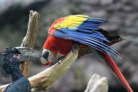 17 lustige katzen und tierbilder funnycats funnydogs. Lustige Tierbilder Tierfotos Zum Lachen Die Tierexperten