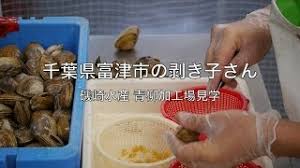 剥き子さんのバカ貝 青柳 加工 千葉県富津市 磯崎水産 Youtube