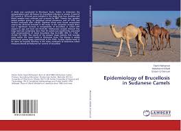 First time ride on a camel. Epidemiology Of Brucellosis In Sudanese Camels 978 3 330 02803 6 3330028033 9783330028036 By Elamir Mohamed Abdelhamid Elfadil Enaam El Sanousi