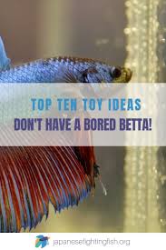 Top 10 Ideas For Betta Fish Toys Don T Have A Bored Betta Betta Fish Toys Betta Aquarium Betta Fish Tank