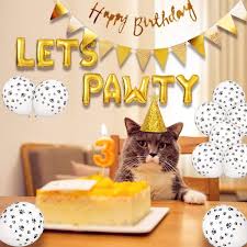Maybe you would like to learn more about one of these? Cat Birthday Party Supplies Dog Birthday Balloons Decorations Party Decorations Dog Cat Birthday Hat Happy Pet Birthday Party Kit Walmart Com Walmart Com