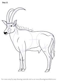 You will be able to receive notifications about movement in the frame, record sound and video 4. How To Draw A Wild Boar Easy Drone Fest