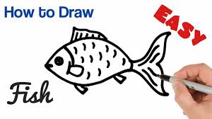 How To Draw A Fish Easy Step By Step Youtube Add an outline outside of all the fish using a colored pencil (black is recommended but you can make it any color) or a pen. how to draw a fish easy step by step
