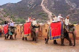 With urban cows, tigers, elephants, camels, and the wonderful people of india and nepal. Decorated Elephants Going On The Cobblestone Path To Amber Fort Stock Photo Picture And Royalty Free Image Image 66235329