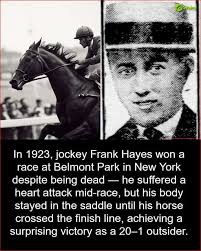 did anyone remember Barry maloney had a race horse 🏇 named lily sugars