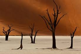 I'm love photography as much today as i did then when i. Flickr S Top 25 Photos In 2020 Flickr Blog