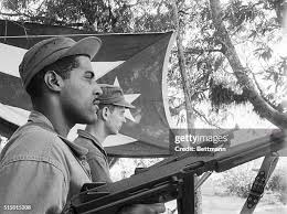 47 Manolo Castro Photos & High Res Pictures