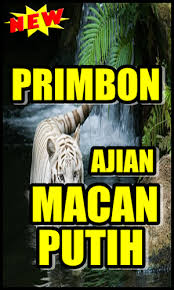 Berikut tata caranya anda bisa membaca mantra khodam macan putih yang sudah kami tuliskan di atas. Primbon Ilmu Macan Putih Latest Version For Android Download Apk