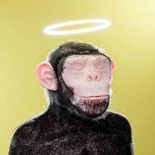 Degen Monkey 45 Nftb