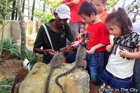 City building & farming does have a casual feel to it but challenging in the time management elements and in designing your town. Idrissi International School On Twitter 7 Play With Animals At Farm In The City In Seri Kembangan Photo Source Https T Co Hwieyy5naw Https T Co Kcp5vdar2t Https T Co Zrkodnk5dc