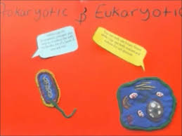 Eukaryotic And Prokaryotic Cells Prokaryotic Cell Biology Projects Science Projects