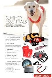 Summer Essentials For Your Dog Whether Your Dog Loves The Beach The Lake The Pool Or A Summer Hike Keep Them Comfortabl Dog Equipment Dog Gear Dog Harness
