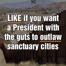 Pin On No Amnesty