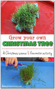 Christmas Tree Sponge Christmas Science Activities Christmas Science Christmas School