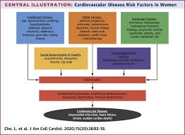 Summary Of Updated Recommendations For Primary Prevention Of Cardiovascular Disease In Women Jacc State Of The Art Review Sciencedirect
