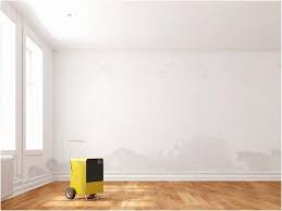 Schimmel Im Wohnzimmer Entfernen Crawlspace Space Home Decor