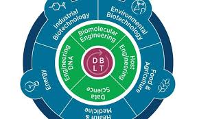 Scientists Chart Course Toward A New World Of Synthetic Biology