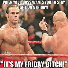 Pin On Wwe Funny