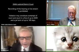 I can see that, fellow lawyer h. I M Not A Cat Texas Attorney Tells Judge After Appearing For A District Court Proceeding On Zoom With A Kitten Filter Mistakenly Turned On Video